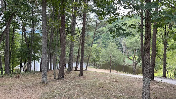 Historic Cold Sulphur Springs Campground 4