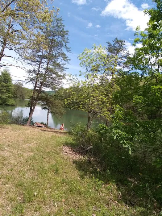 Historic Cold Sulphur Springs Campground 6