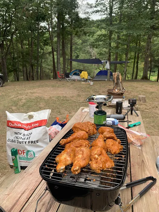 Historic Cold Sulphur Springs Campground 9