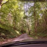 Bubbling Springs Day Use Area (recgovnpsdata)