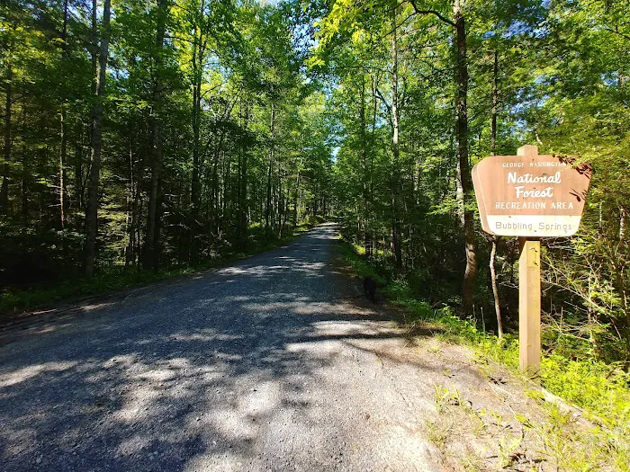 Bubbling Springs Day Use Area (recgovnpsdata) 3