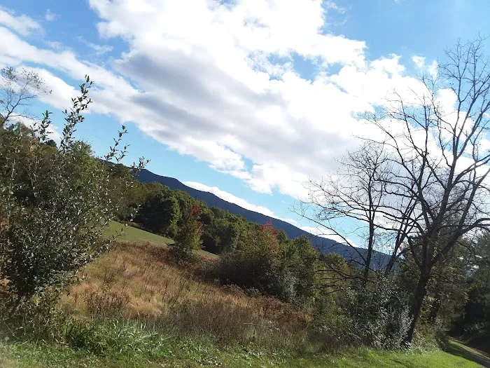 Camp ACCOVAC 6