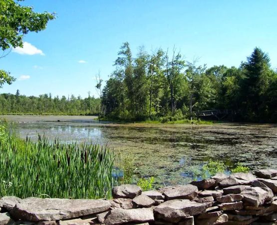 Hidden Acres Campground