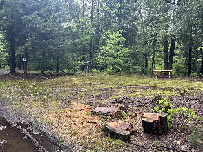 Carterville Acres Family Campground 0