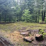 Carterville Acres Family Campground