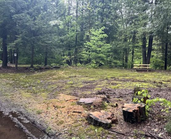 Carterville Acres Family Campground