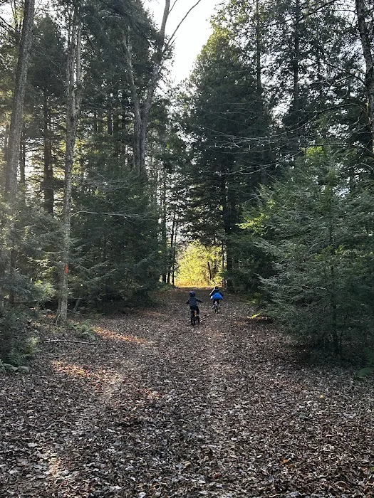 Carterville Acres Family Campground 4