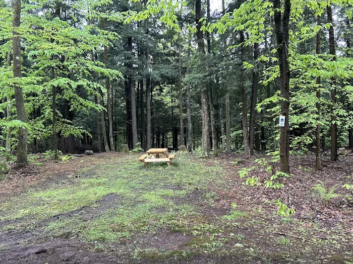 Carterville Acres Family Campground 9