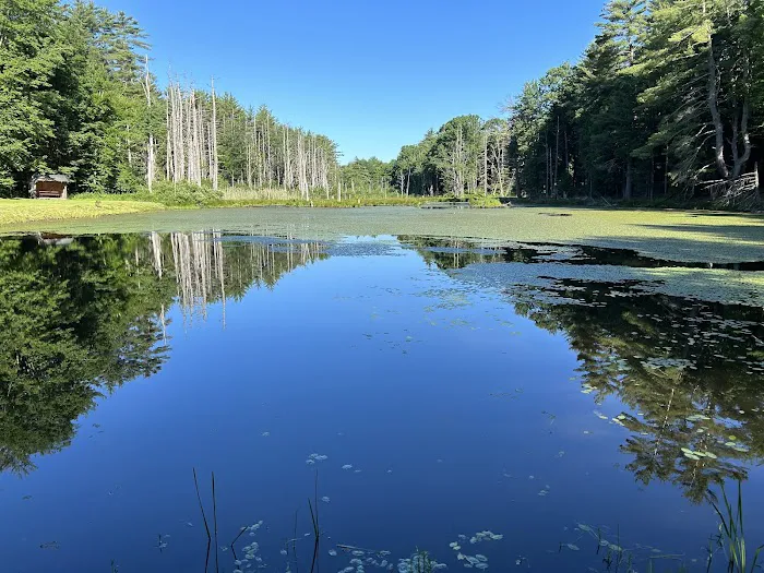 Oneida pines Resort 4