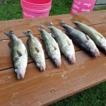 Lone Pine Campgrounds