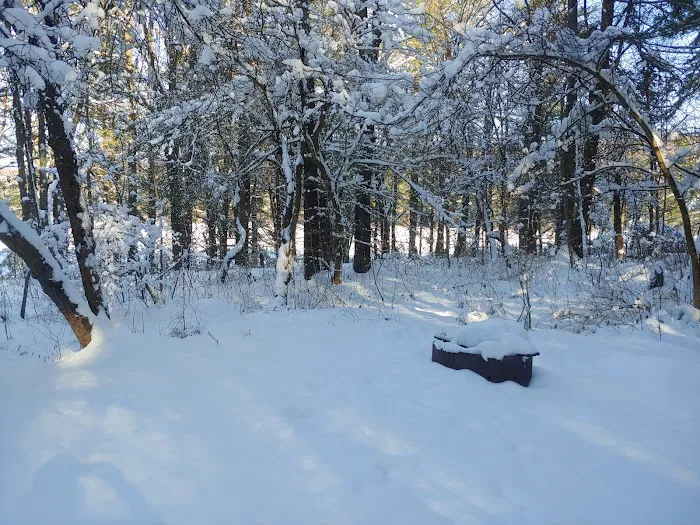 Stoney Pond Campground 1