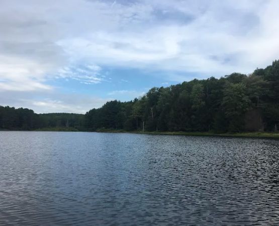 Stoney Pond Campground