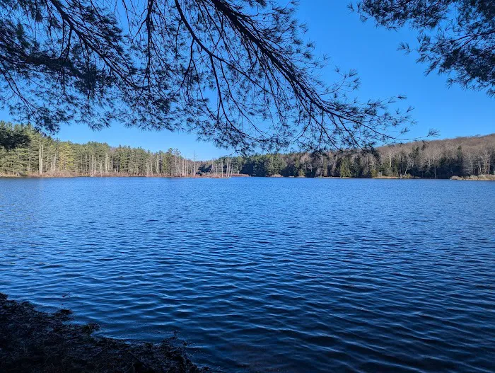 Stoney Pond Campground 4