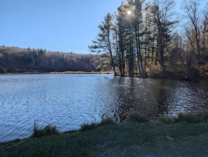 Stoney Pond Campground 5