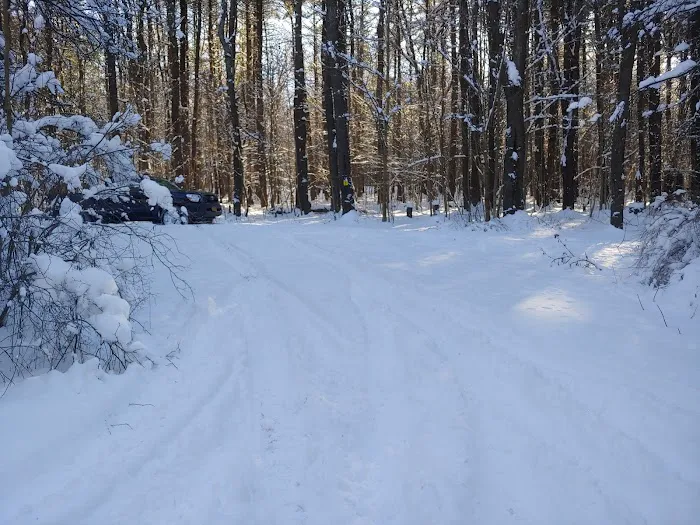 Stoney Pond Campground 9