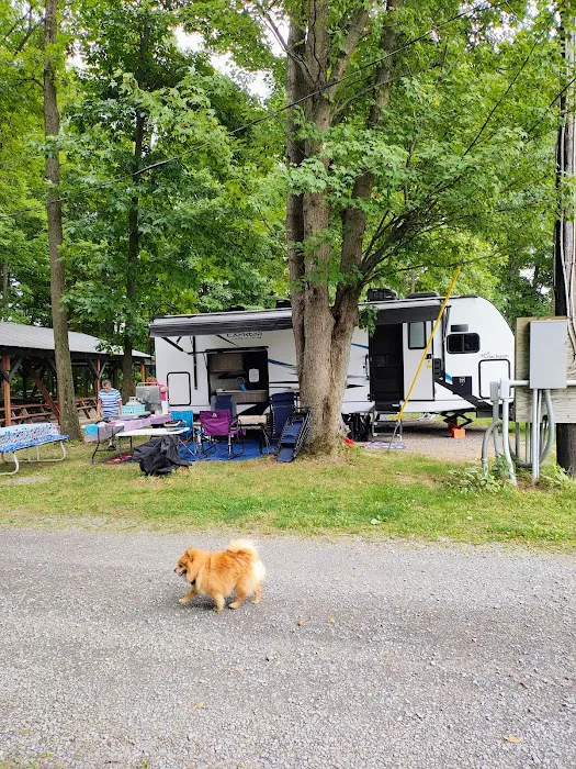 Sned-Acres Family Campground 5