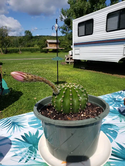 Brookview RV Park & Camping 8