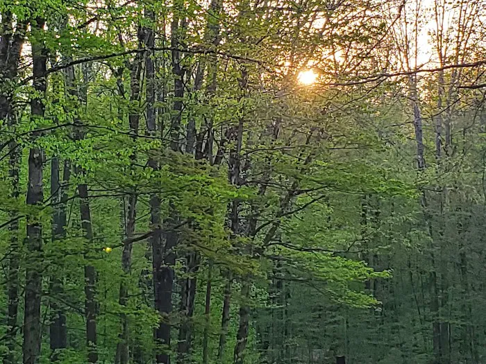Cherry Ridge Campground 0