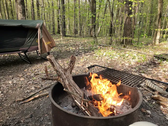 Cherry Ridge Campground 3