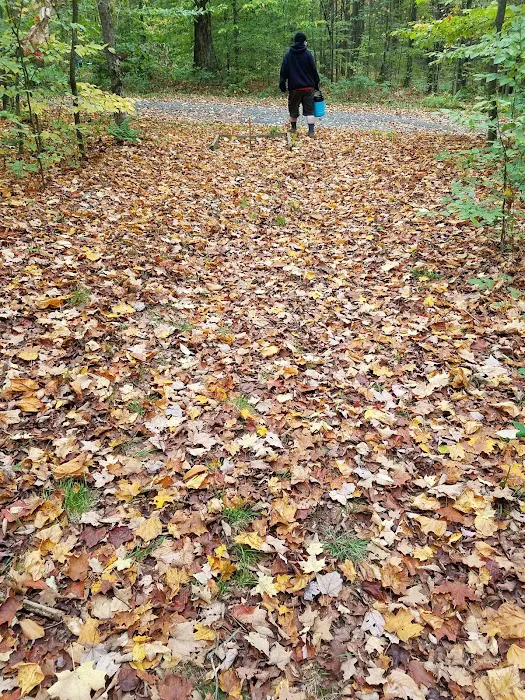 Cherry Ridge Campground 9