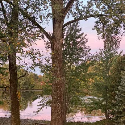 The Landing Campground 4