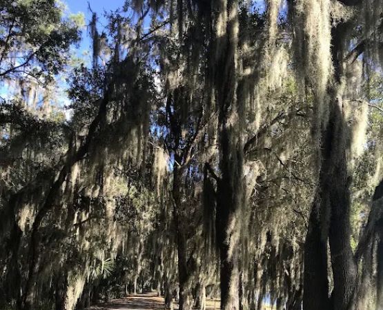 Hardee County Lakes