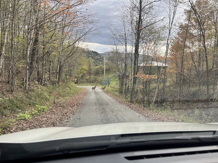Free Verse Campground 4