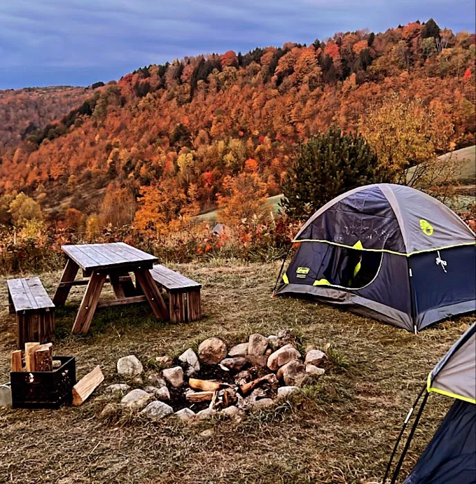 Free Verse Campground 6