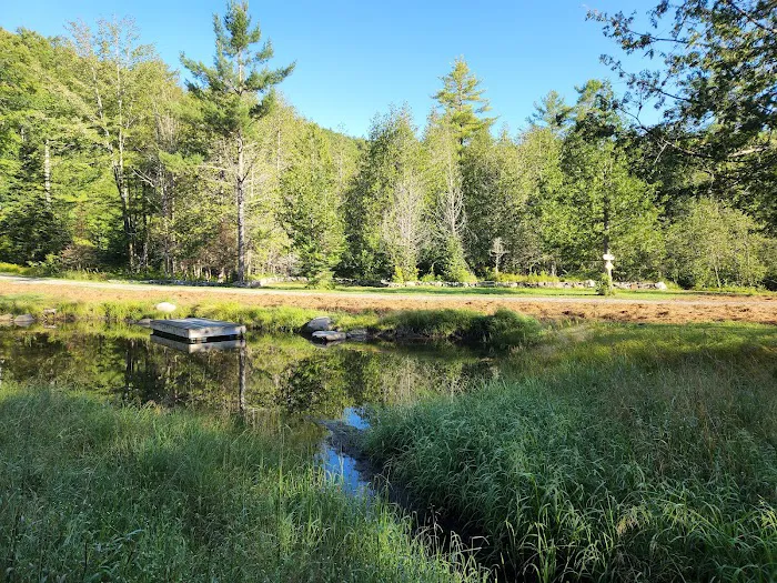 Scotch Hollow Hill Private Campground 1