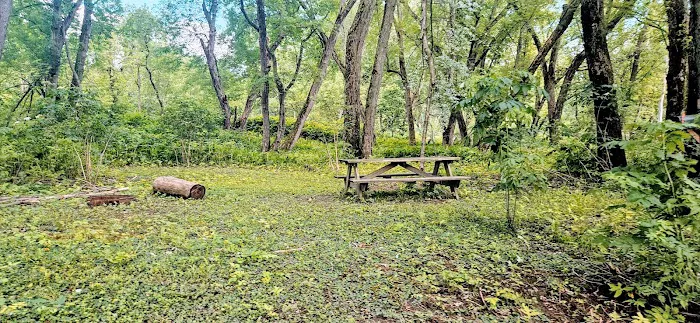 Howard Island South Campsite 6