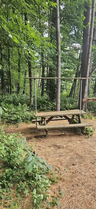Horse Meadow Campsite 8