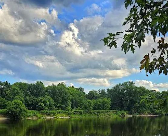 Harkdale Farm Campsite