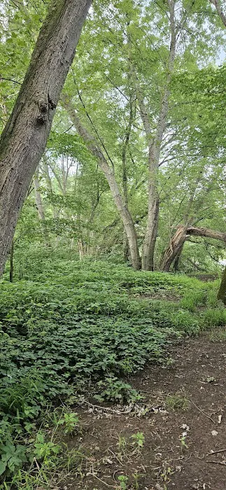 Harkdale Farm Campsite 5
