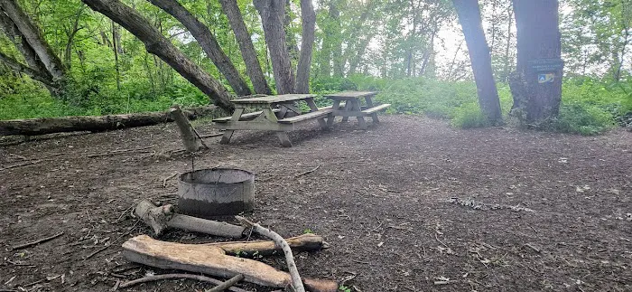 Harkdale Farm Campsite 4