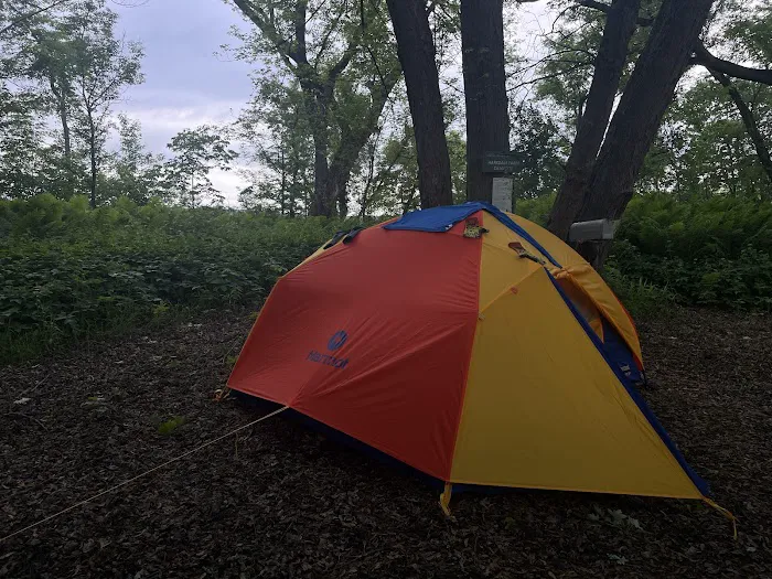 Harkdale Farm Campsite 9