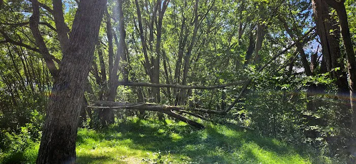 Vaughan Meadow 4