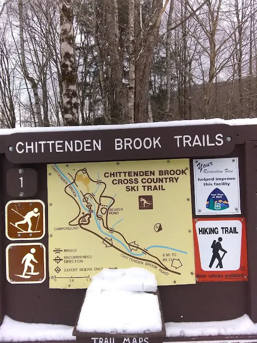 Chittenden Brook Campground 5