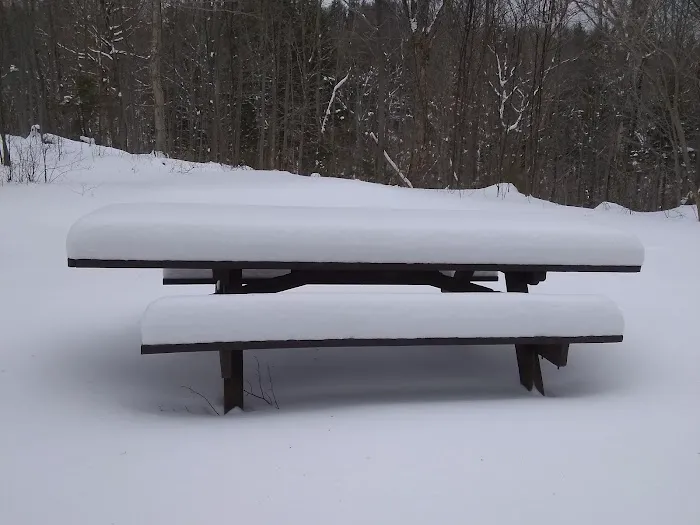Chittenden Brook Campground 8