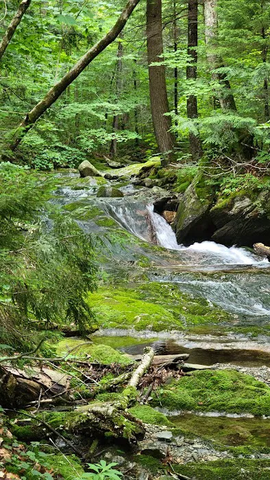 Chittenden Brook Campground 2