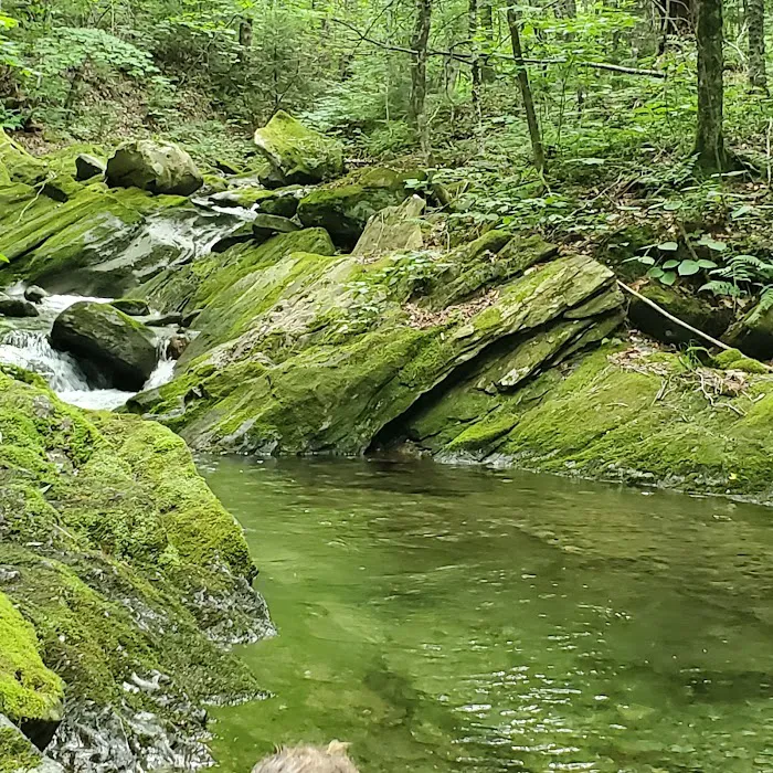 Chittenden Brook Campground 3