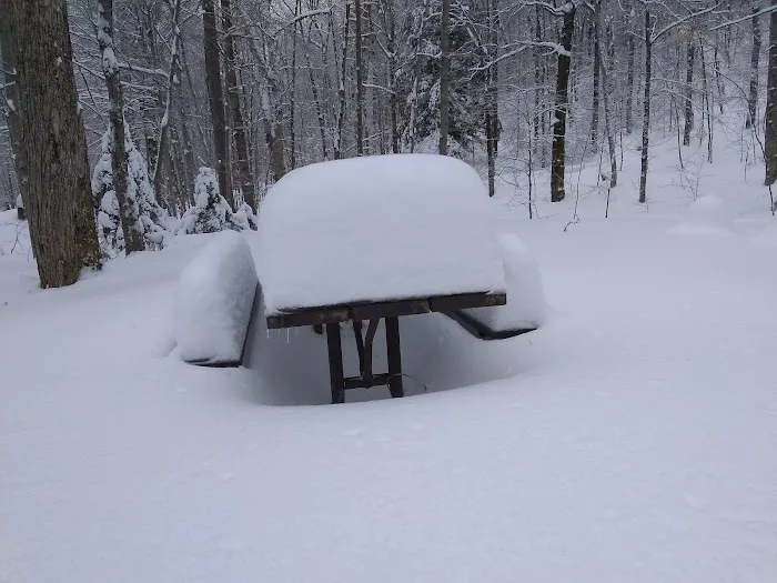 Chittenden Brook Campground 6