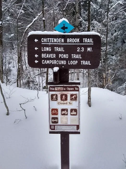 Chittenden Brook Campground 4