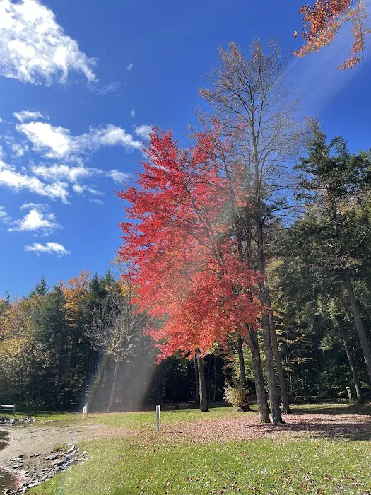 Rest-N-Nest Campground 7