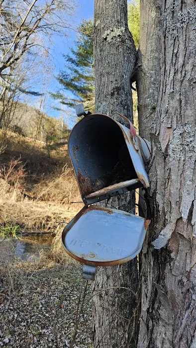 Connecticut River Paddlers Campsite 6