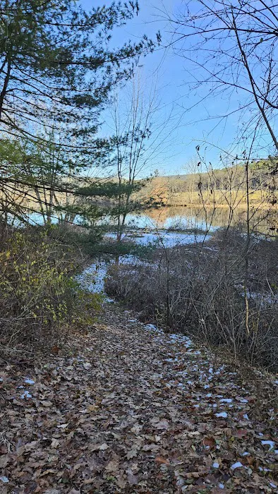 Connecticut River Paddlers Campsite 9