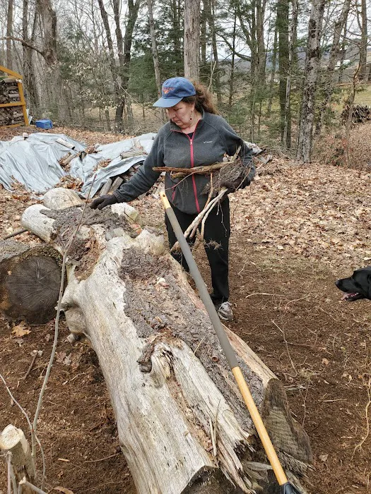 Grandmother Pine Tent Deck 4