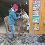 Grandmother Pine Tent Deck