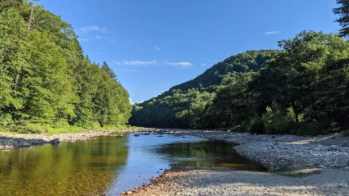 Winhall Brook Campground 6