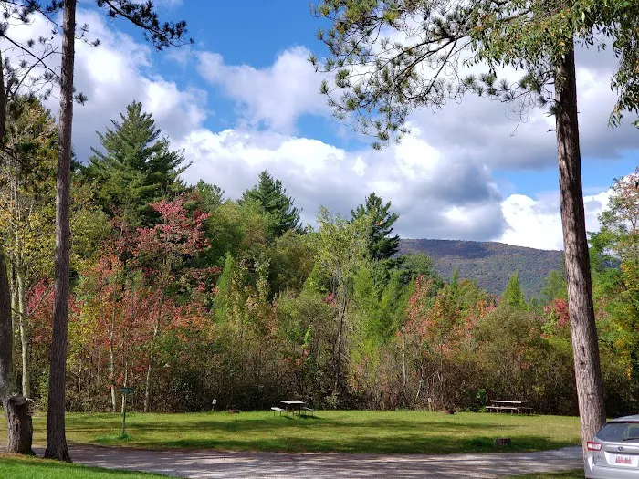 Dorset RV Park 0