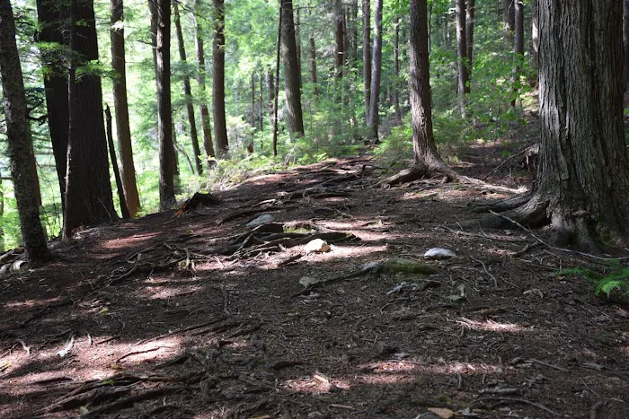 Hapgood Pond Campground 4